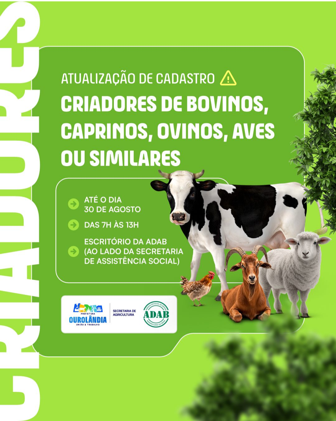 Prefeitura de Ourolândia comunica criadores sobre atualização de cadastro até 30 de agosto