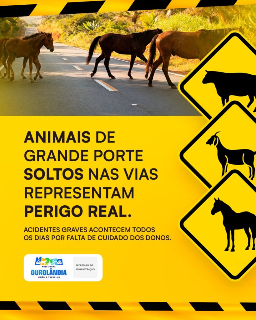 Prefeitura de Ourolândia reforça alerta e conscientização sobre animais soltos nas vias