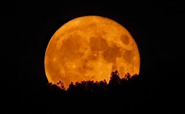 Presidente da Alba é afastada temporariamente após ser internada em UTI de hospital em Salvador