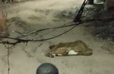 Jovem é assassinado a tiros no bairro Leader, em Jacobina