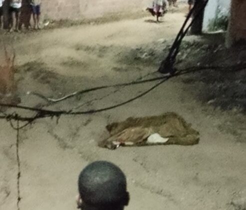Jovem é assassinado a tiros no bairro Leader, em Jacobina