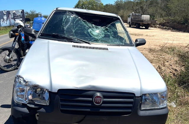 Homem morre atropelado por caminhão após cair de cavalo em estrada vicinal.