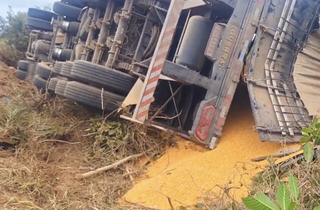 Caminhão carregado com milho tomba na BR-324 entre Lages do Batata e Ourolândia.
